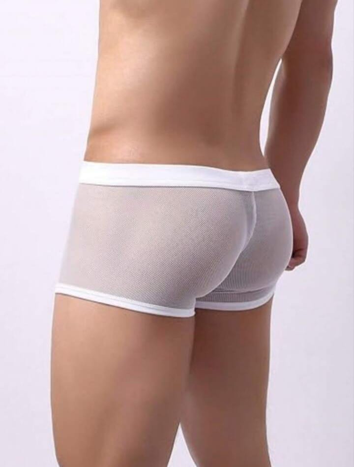 Frost Sheer Mesh Boxer Briefs
